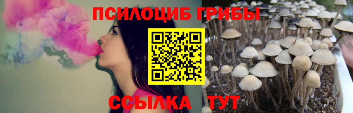 Галлюциногенные грибы мицелий Дербент